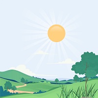 Sunny Day